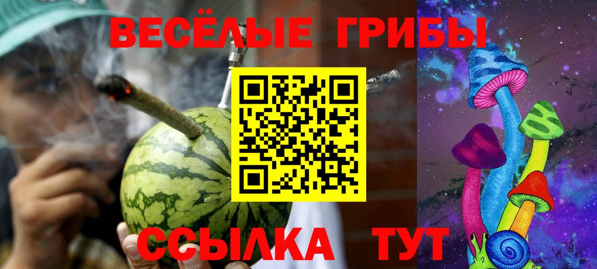 Псилоцибиновые грибы ЛСД  Вход с VPN  Воскресенск  Галлюциногенные грибы Psilocybe 